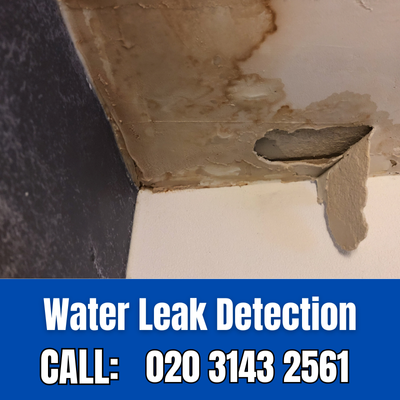 Expert Water Leak Detection Services in Brentford | Brentford Leak Detection